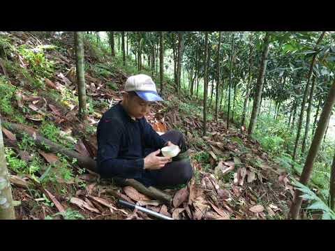 Video Xây dựng cuộc sống mới, tập 45, Phát cỏ, lấy củi, cho... - youtube
