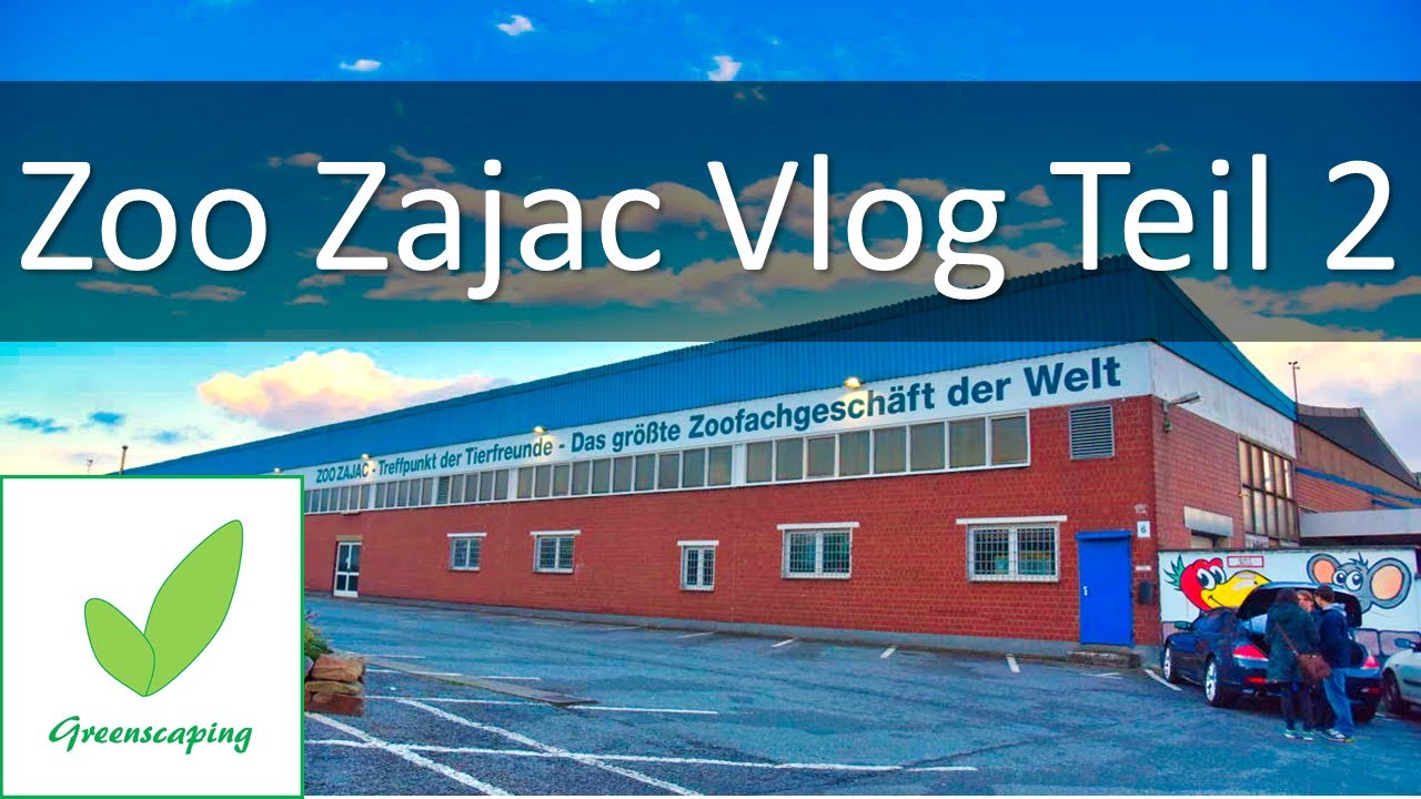 Zoo Zajac Teil 2 - YouTube