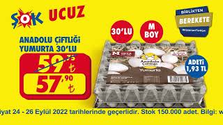 Anadolu Çiftliği Yumurta hem #ŞOK'ta hem de Cepte ŞOK'ta!