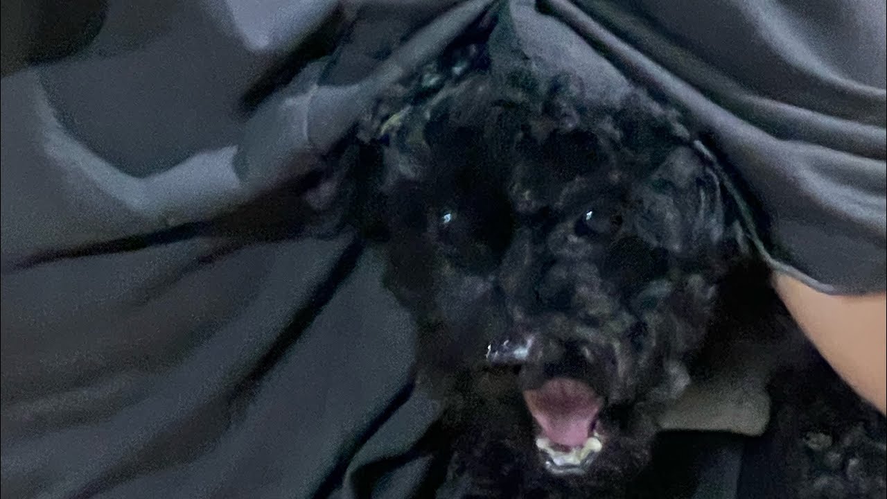 함께 쉬어가는 여름을 배우다_Vlog