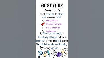 Think You’re Smart? Try This GCSE Science Quiz