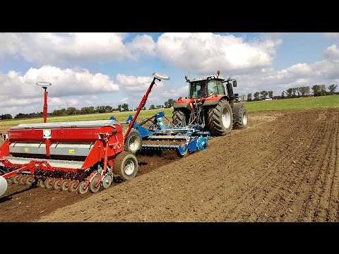 Gruberowanie & Siew Rzepaku 2016 Orkowo/Bezorkowo! Massey Ferguson 7618 + ROLMAKO&Kongskilde 4m