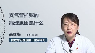支气管扩张的病理原因是什么 高红梅 中国人民解放军总医院301医院