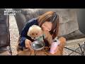 【犬 おでかけ】愛犬グッズは何を持っていってる?|車中泊キャンプのことも話します!