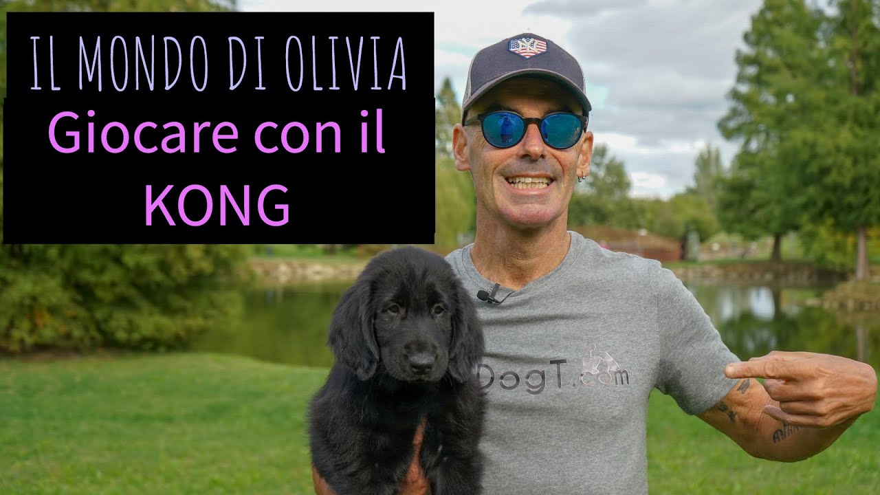 Giocare con il Kong, Il mondo di Olivia