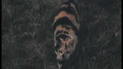 How I Spent My Summer Vacation