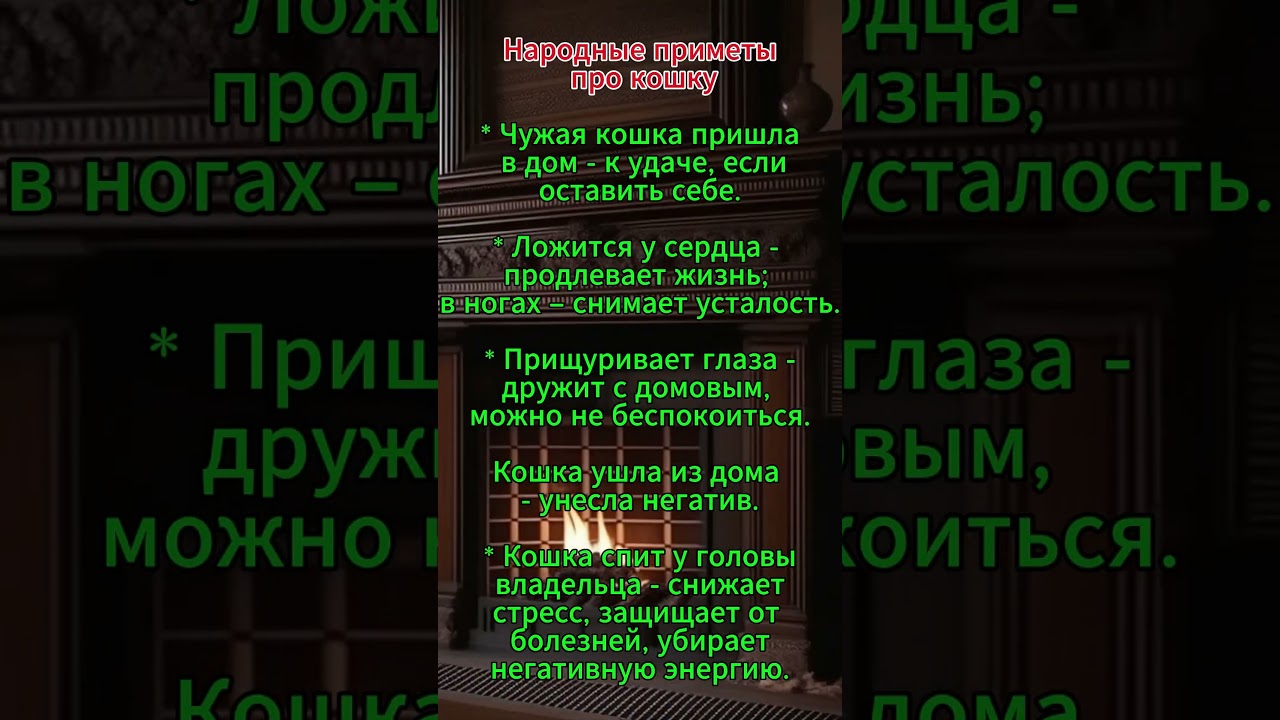 Народные приметы про кошку