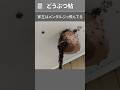 引っ越したくなる瞬間