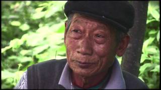 Lisu Festival Pt.1: Bull Fight screenshot 1