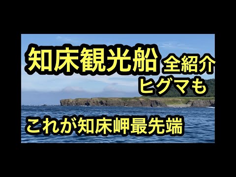 【知床観光5知床岬先端まで】北海道知床観光船に乗って世界遺産巡り。ウトロの北海道知床観光船のゴジラ岩に乗って先端のオホーツクまで。夏の北海道ドライブ旅でヒグマにも遭遇