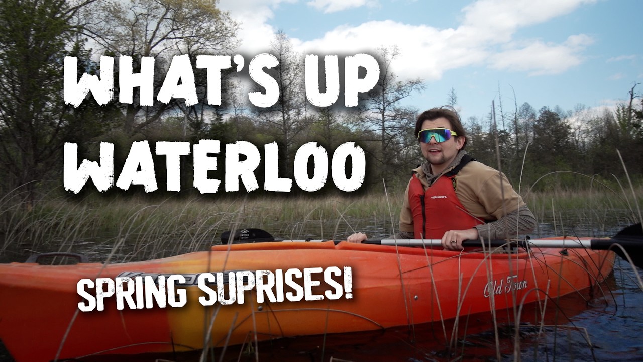 What's Up Waterloo: Spring Surprises
