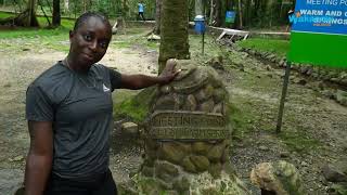 Ikogosi: A Tale of Two Springs