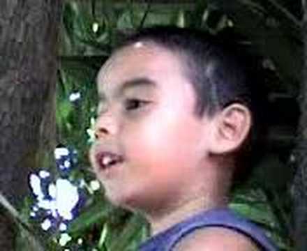 Watch the video for Arbol Del Manglar