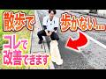 【犬しつけ】散歩でひっぱる、歩かない犬はコレで改善できます【ドッグトレーナー解説】