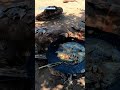 pesca sub #amém #mensagemdefé #jesusteama #oraçãodanoite #amen #jesuslovesyou #fe #pesca #4k