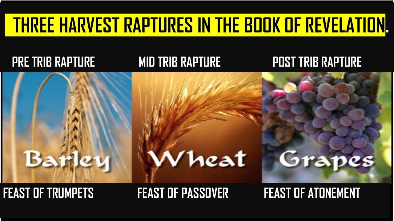 Три восхищения жатвы в книге Откровения
