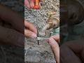 #diy #craft #tips #amazing #ideas #inventions #tools #simple