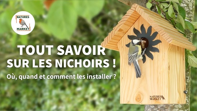 TUTO : fabrication d'un nichoir pour les oiseaux ! - YouTube