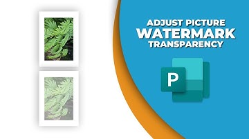 How to adjust picture watermark transparency in publisher