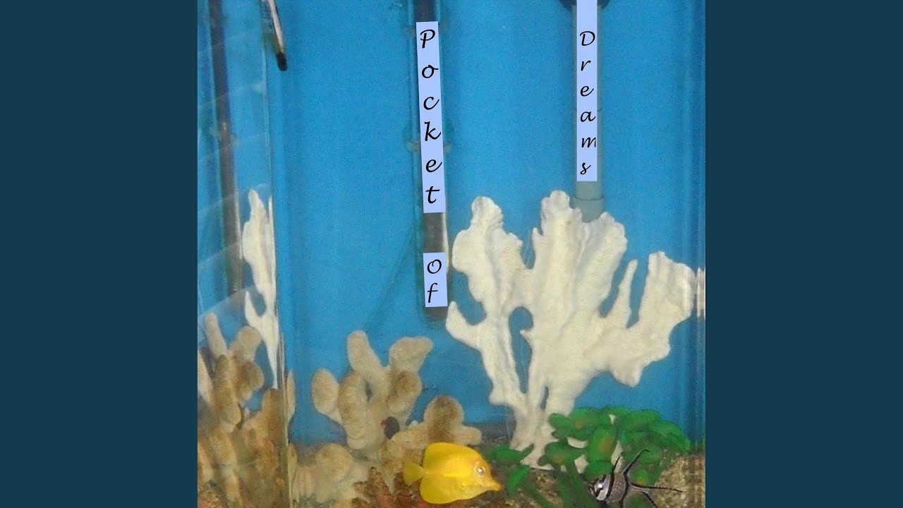 Pocket Of Dreams