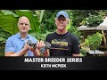 Emerald Tree Boa Care  (Everything You Need To Know!) Boelens Pythons w/ Master Breeder Keith McPeek