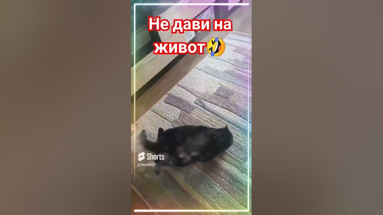 Только не дави на животик)))) - YouTube