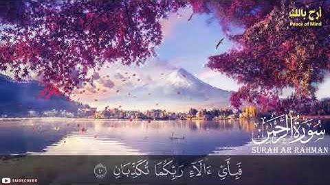 صدقني !! صوته يقتل أحزانك ! تلاوة رائعة سورة الرحمن كاملة القارئ أنس محمد