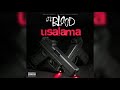 Lil Blood Lick Music Audio Ft Lonnie Bands Shredgang Mone Lil Goofy BG Masoe And More mp3