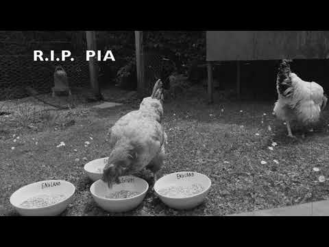 Rust in vrede, Pia