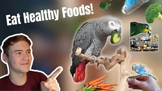 How to get YOUR parrot to eat HEALTHY foods