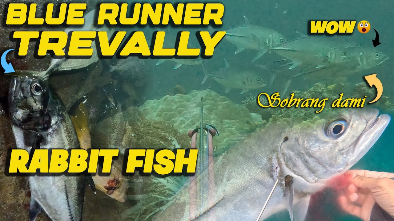 Mamsa DAY DIVE🤿| EP.29 | MAMSA AT SAMARAL ANG NAHULI SA SPOT KO ANOTHER ...