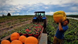 Adding something new to harvest