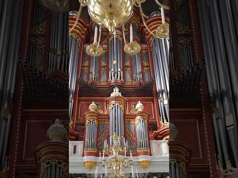 ORGAN POWER.. this