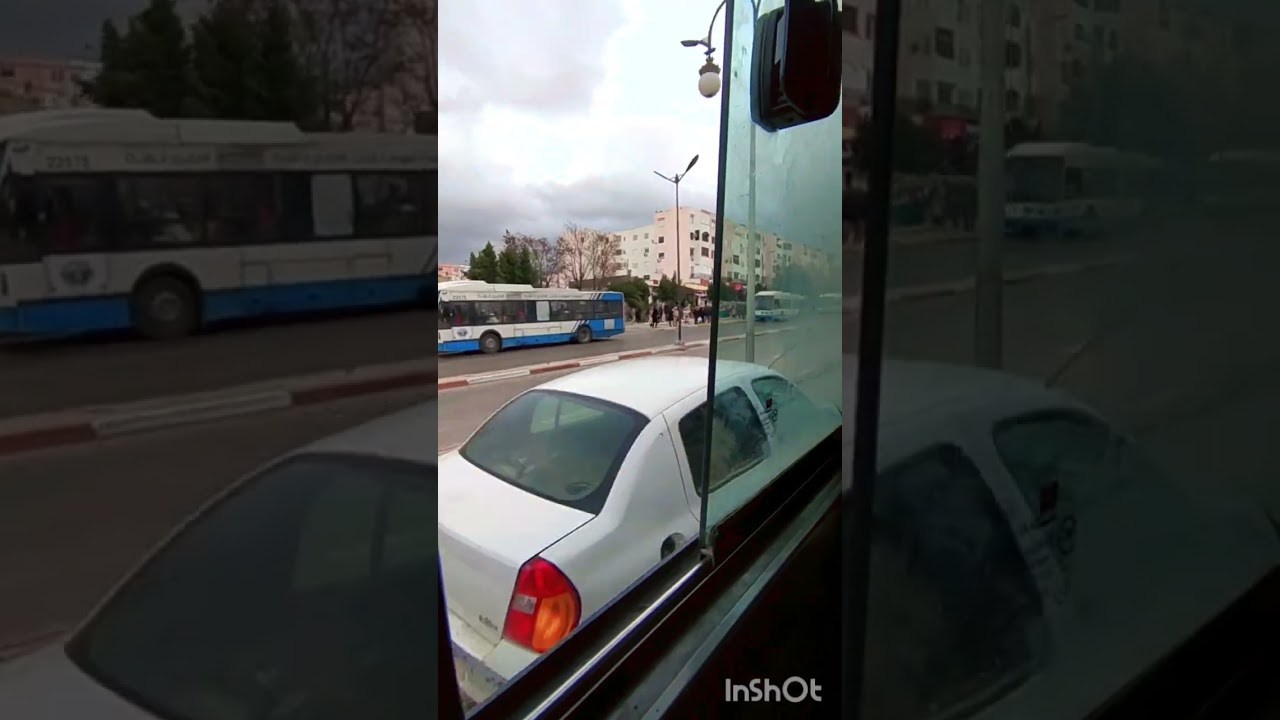 17 فبراير 2026