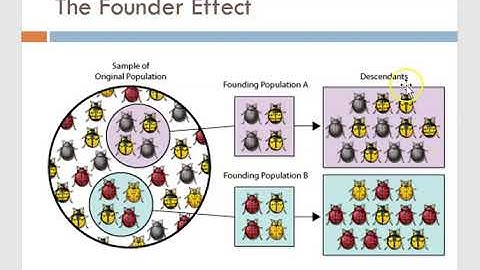 Speciation Video Notes
