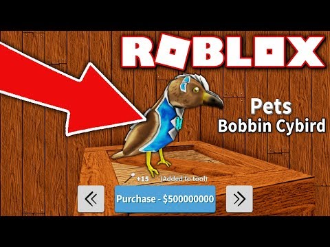 Buying My Own Pet In Treasure Hunt Simulator Roblox Youtube - 