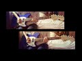 Mr. Kitty - It Is All True (guitar cover) . ft. Sasha Trice