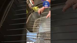 We clean it all #restaurantcleaning #housecleaning #cleaner  #capecod