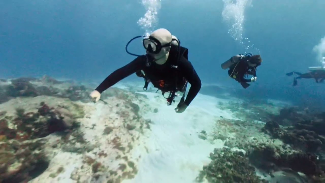 Cozumel Diving with Marie - Jan 2026