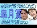 雨馬場で笑う馬はこれだ / 2023 皐月賞（GⅠ)　【武田デスク、大谷記者、目黒貴子姉の日刊ゲンダイ競馬予想】