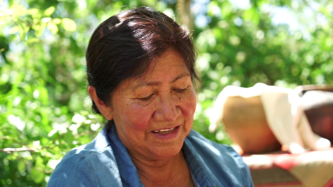 ALOJA CKILAPANA Y AÑAPA