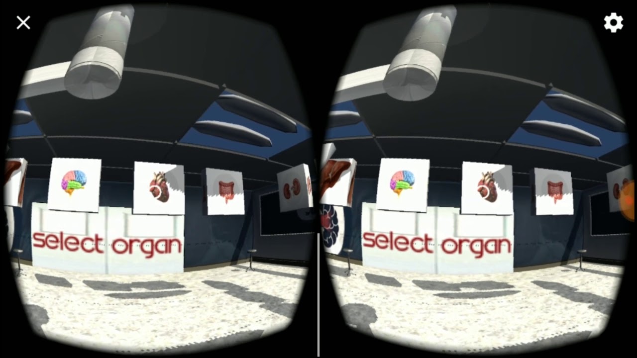 My Anatomy Application (VR) Demo Video