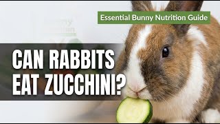 Rabbits + Zucchini = Digestive Disaster? Here's What Happens screenshot 5