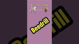 Episode 527 of Who's That Pokimal? Today we focused on the Japanese Giant Hornet.