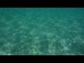 FUJIFILM FINEPIX XP 70 underwater movie