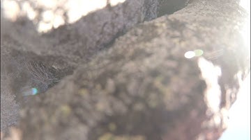 TBS Crossfire failsafe