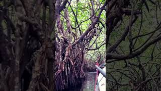 River Boat Journey...!!!#Comedy #Funny #Lol #Love #Shorts