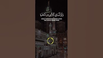 قرآن كريم تلاوات قرانيه خاشعة #اكسبلور #تيك_توك #لايك