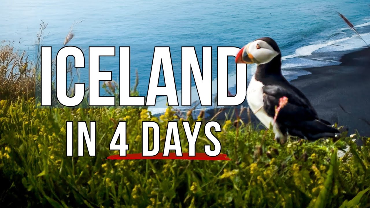 4 Days in Iceland | Puffins, Glaciers, Waterfalls, & Black Sand Beaches