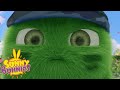 Cartoons For Children SUNNY BUNNIES PING PONG HERO Funny Cartoons For Children 